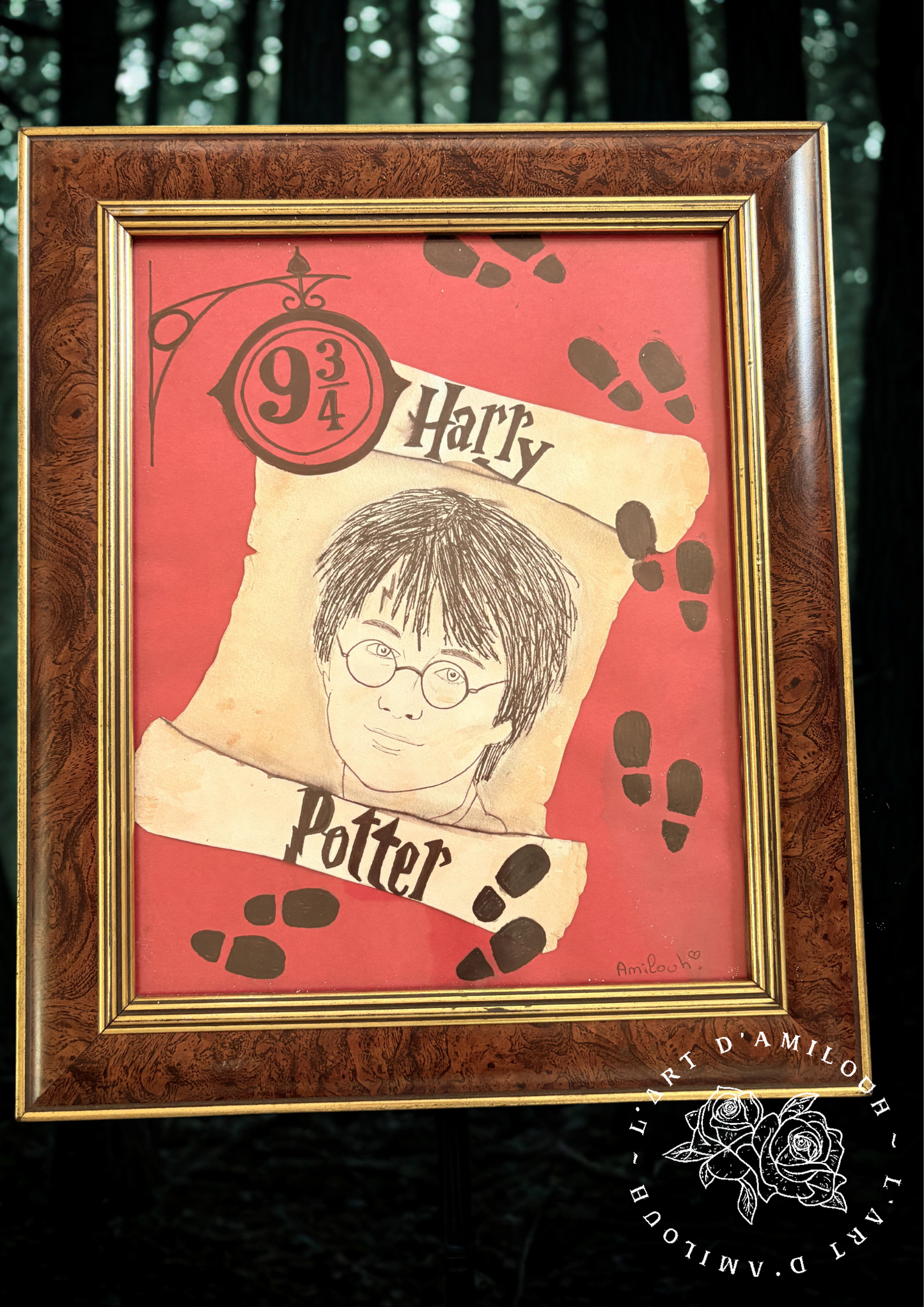 Cadre Harry Potter